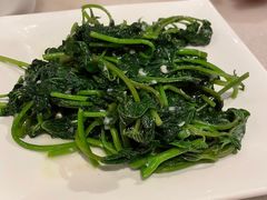 -金鼎轩(方庄天坛店)