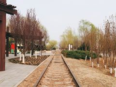 -永定河休闲森林公园