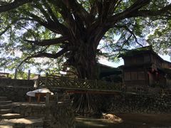 -云水谣景区