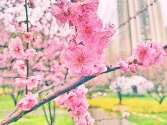 -静安雕塑公园