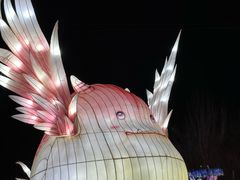 -淄博花灯齐彩城