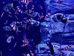 -成都浩海立方海洋公园