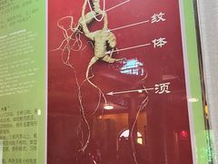 -雾凇岛