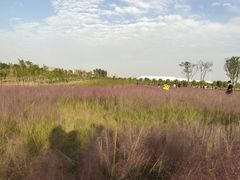 -郑东新区龙湖公共艺术中心