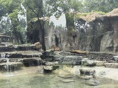 -北京野生动物园