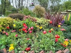 -上海共青森林公园