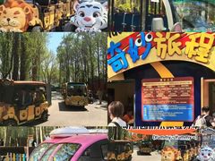-合肥野生动物园