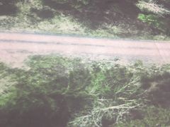 -中国电信(海岸城营业厅)