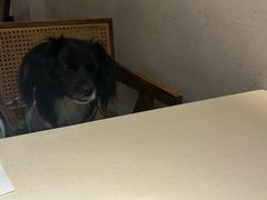 -雲說·花(西宸天街店)