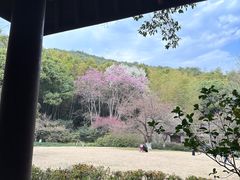 -杭州植物园