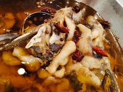 水煮江团-鑫巴蜀小镇 · 水煮鱼专研店(玉桥店)
