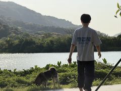 -风云岭森林公园