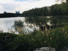 -昆山城市生态森林公园