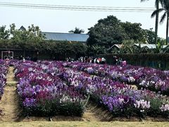 -盈香心动乐园