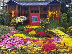-南山植物园