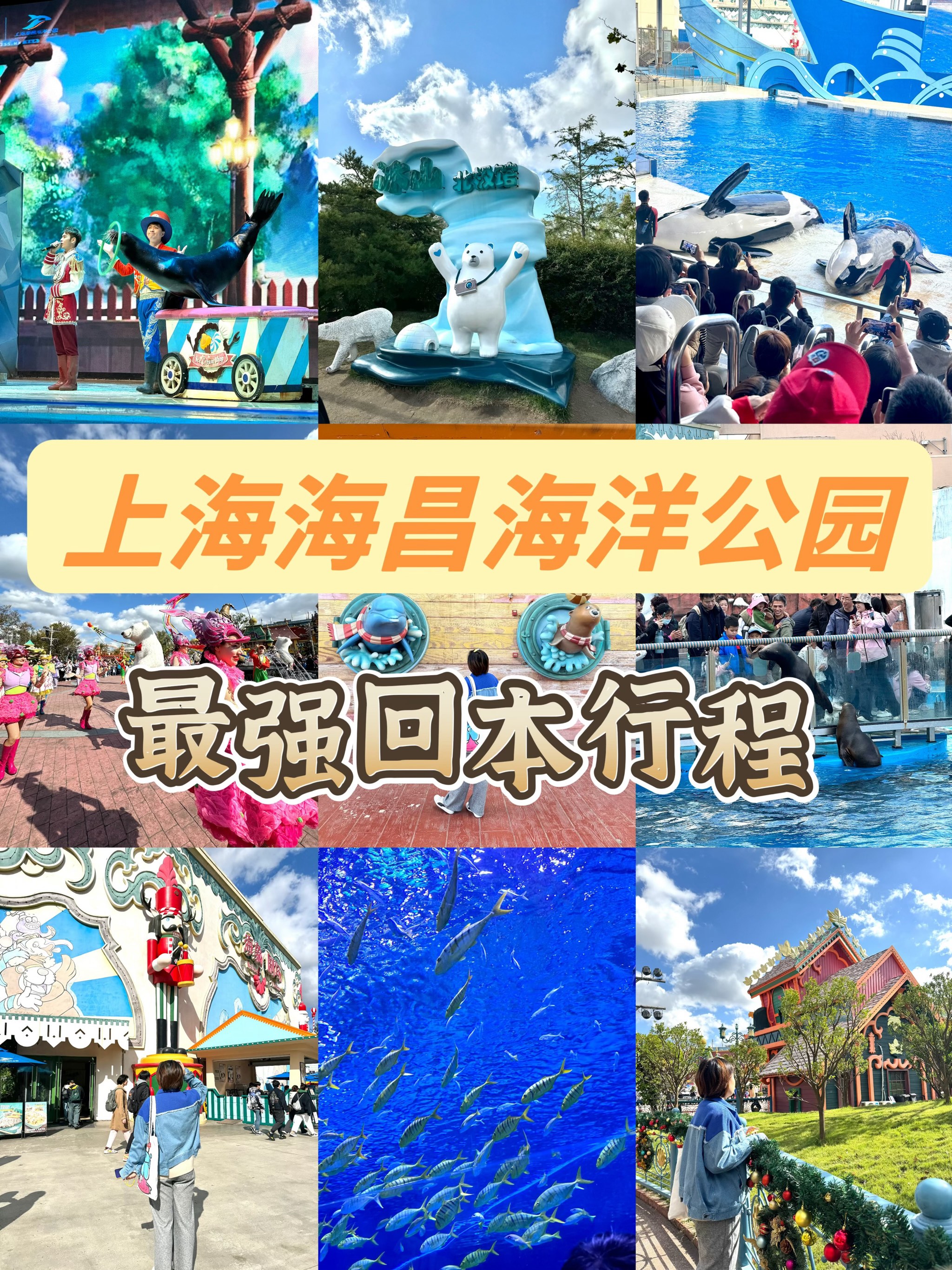 上海海昌海洋公园攻略图片