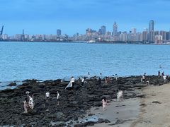 -西秀海滩公园
