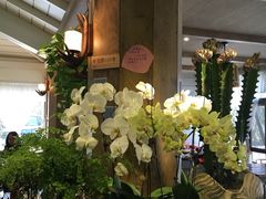 -春暖花开(西溪店)
