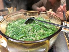-佬肥猫(国华广场店)