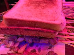 -肉串汪(望京店)