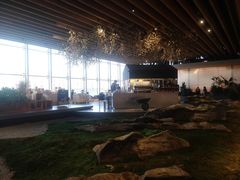 -Seesaw Coffee(朝阳大悦城店)