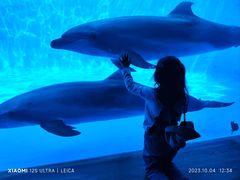 -西海国立公园九十九岛水族馆
