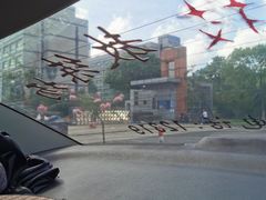 -安飞驰驾校·学车连锁(金高店)