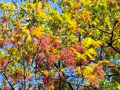 -国家植物园南园