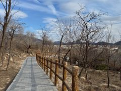 -白水寺森林公园
