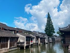 -乌镇西栅景区
