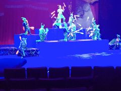 -珠海横琴长隆《卡卡虎奇遇记》