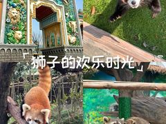 -郑州银基国际旅游度假区