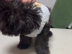 -宠颐生汉谟拉比宠物医院