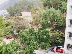 -板樟山森林公园