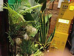 -西塘人家•黑金冠本地好店