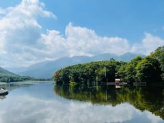 -大九湖