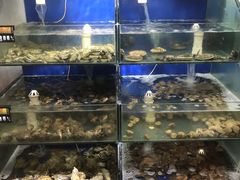 水产区-雅逸居海鲜小厨