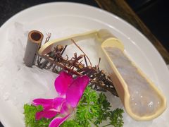 -周师兄大刀腰片火锅(洪崖洞旗舰店)