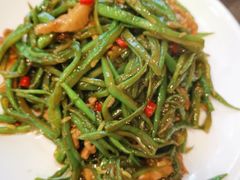 小炒芸豆丝-东北农家小院(定西路店)