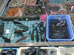 -霞涌市场海鲜摆卖区