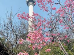 -龟山风景区-龟山电视塔