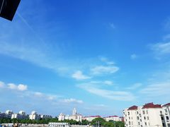 -泰煌鸡·上海白斩鸡·鸡汤面(鹤庆店)