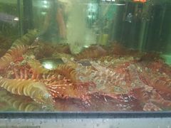 -兴旺海鲜砂煲王