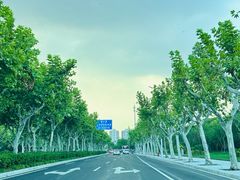-麦新格精品酒店(上海国际旅游度假区川沙地铁站店)