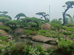 -罗红摄影艺术馆