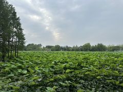 -云龙湖旅游景区