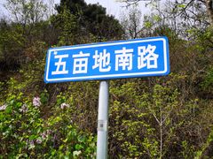 -密云玫瑰情园