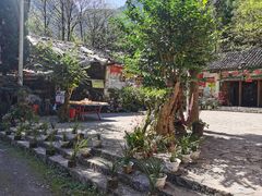 -鹿院坪生态旅游景区