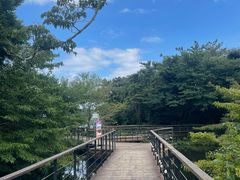 -济州森林小火车生态公园