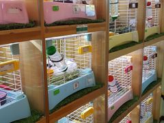 -宠物兔专门店(天丰利市场店)
